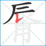 脣笔顺分解图片5