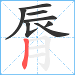 脣笔顺分解图片8