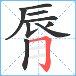 脣笔顺分解图片9