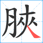 脥笔顺分解图片11