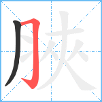 脥笔顺分解图片2