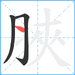 脥笔顺分解图片3