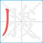 脧笔顺分解图片1