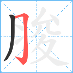 脧笔顺分解图片2