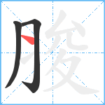 脧笔顺分解图片3