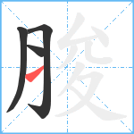 脧笔顺分解图片4