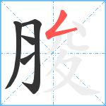 脧笔顺分解图片5