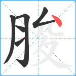 脧笔顺分解图片6