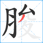 脧笔顺分解图片7