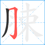 脨笔顺分解图片2