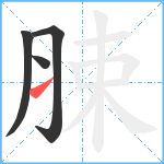 脨笔顺分解图片4