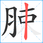 脨笔顺分解图片9