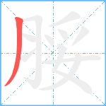 脮笔顺分解图片1