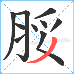 脮笔顺分解图片10