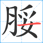 脮笔顺分解图片11