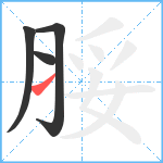 脮笔顺分解图片4