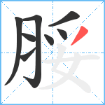 脮笔顺分解图片8