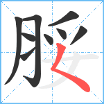 脮笔顺分解图片9