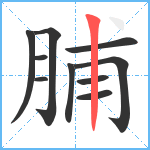 脯笔顺分解图片10