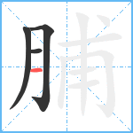 脯笔顺分解图片4