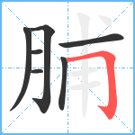 脯笔顺分解图片7