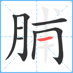 脯笔顺分解图片8