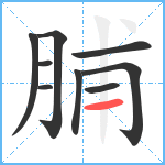 脯笔顺分解图片9