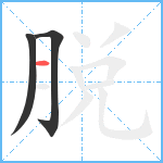 脱笔顺分解图片3