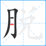 脱笔顺分解图片4