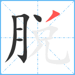 脱笔顺分解图片6