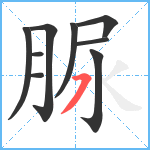 脲笔顺分解图片9