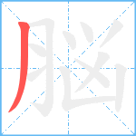 脳笔顺分解图片1