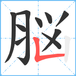 脳笔顺分解图片10