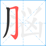 脳笔顺分解图片2