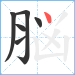 脳笔顺分解图片6