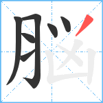 脳笔顺分解图片7