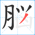 脳笔顺分解图片8