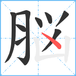 脳笔顺分解图片9