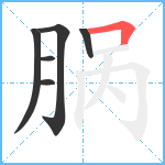 脶笔顺分解图片6