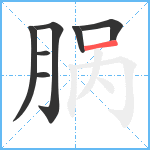 脶笔顺分解图片7