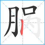 脶笔顺分解图片8