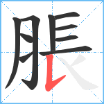 脹笔顺分解图片10