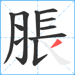 脹笔顺分解图片11