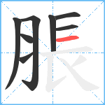 脹笔顺分解图片8