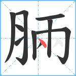 脼笔顺分解图片10