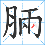 脼笔顺分解图片11