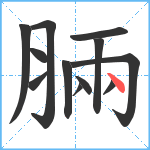 脼笔顺分解图片12