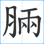 脼笔顺分解图片13