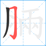 脼笔顺分解图片2