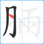 脼笔顺分解图片3